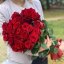 Букет 25 роз Эксплорер