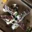 Гренки в сырном соусе