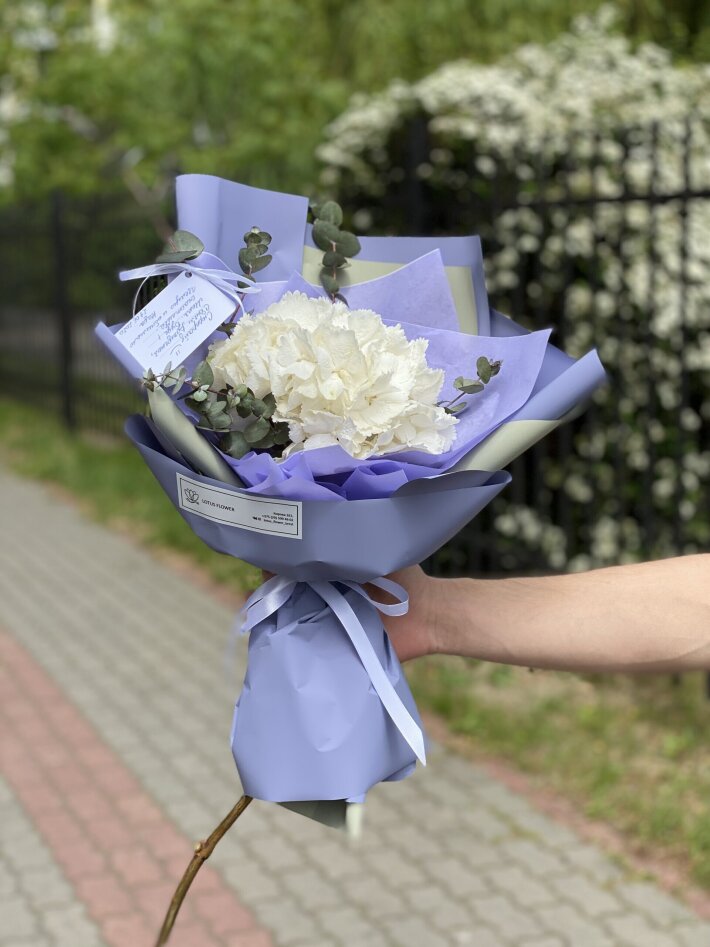 Белая гортензия в оформлении