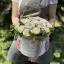 21 роза в шляпной коробке