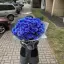 Букет из 75 синих ромашек (9 веток хризантем)