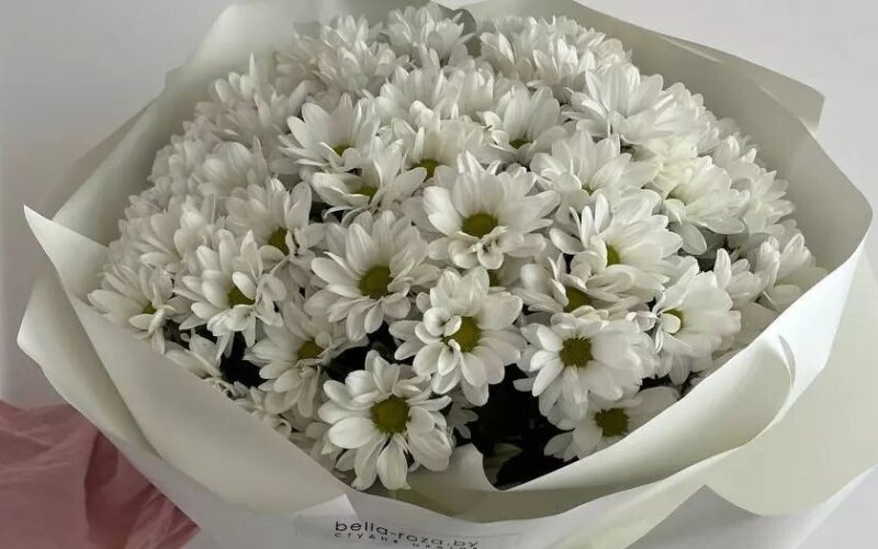 Большой букет из ромашек в красивой упаковке