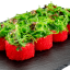 Калифорния с чукой