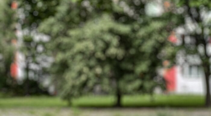 Шаурма на Востоке