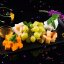 Сырное ассорти
