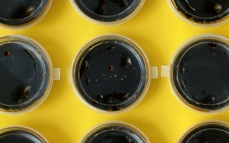 Соевый соус