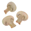 Грибы