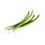 Зелёная фасоль
