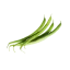 Зелёная фасоль
