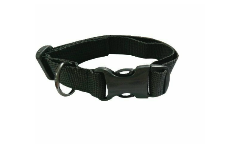 Ошейник хаки 55х2,5 см OMF2592