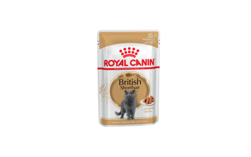 Royal Canin British Shorthair Adult (соус)