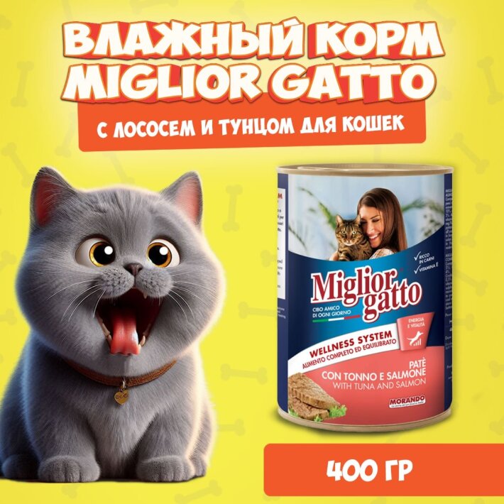 Miglior Gatto Salmon/Tuna (лосось, тунец), 400 гр