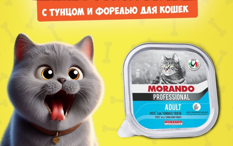 Morando Professional Adult Tuna&Trout (тунец, форель), 100 гр