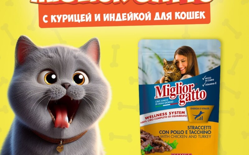 Miglior Gatto Chicken/Turkey (курица, индейка), 100 гр