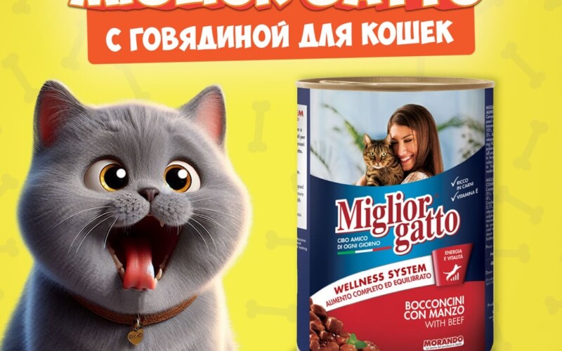 Miglior Gatto Beef (говядина), 405 гр