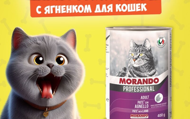 Morando Professional Adult Lamb (ягненок), 400 гр