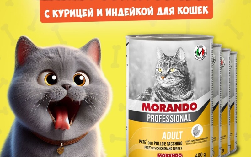 Morando Professional Adult Chicken&Turkey (курица, индейка), 400 гр*4 шт