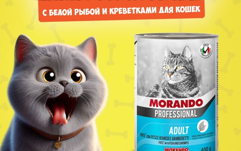 Morando Professional Adult Fish&Shrimps (рыба, креветка), 400 гр