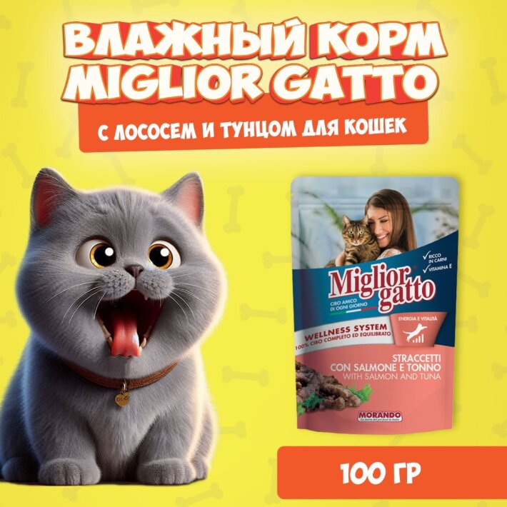 Miglior Gatto Salmon/Tuna (лосось, тунец), 100 гр