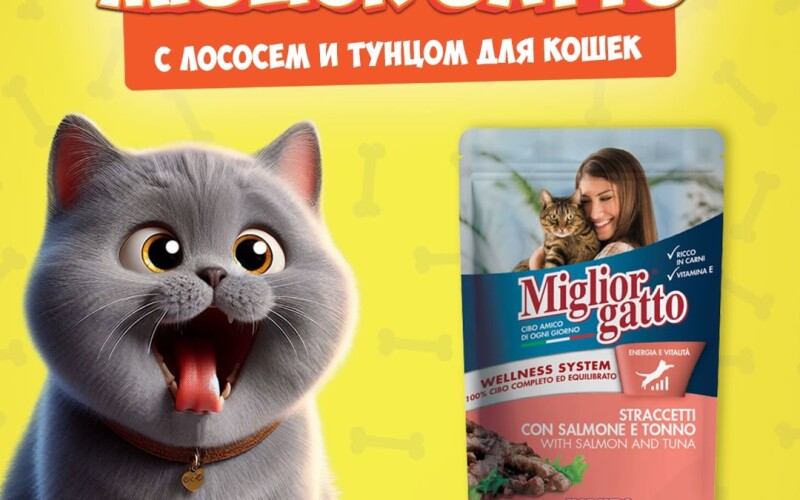 Miglior Gatto Salmon/Tuna (лосось, тунец), 100 гр