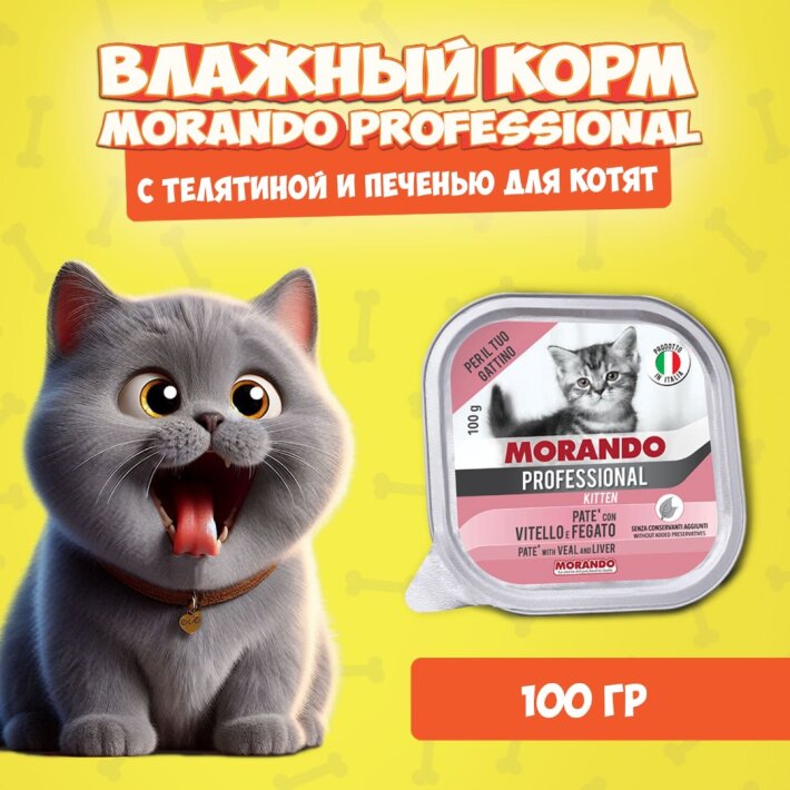 Morando Professional Kitten Veal&Liver (телятина, печень), 100 гр