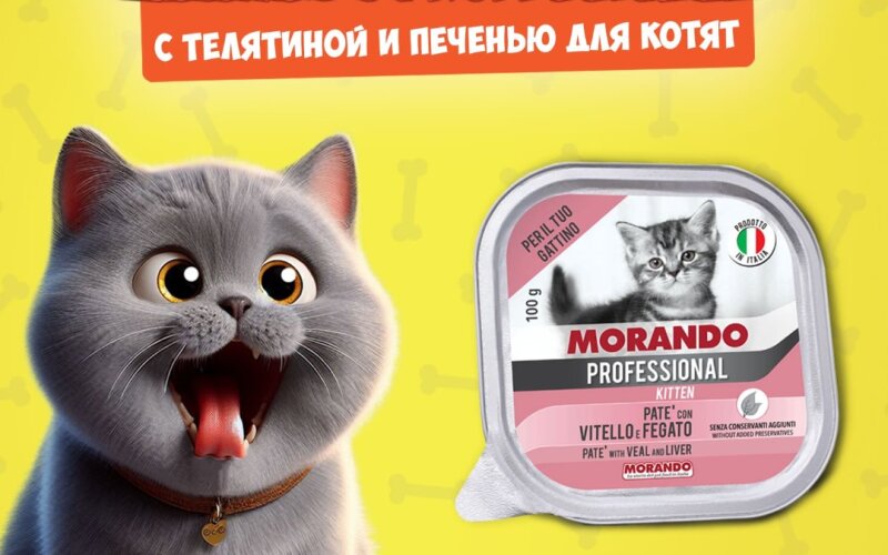 Morando Professional Kitten Veal&Liver (телятина, печень), 100 гр