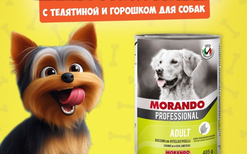 Morando Professional Veal/Peas (телятина, горох), 405 гр