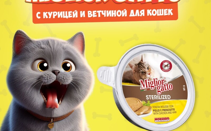 Miglior Gatto Steril Chicken/Ham мусс (курица, ветчина), 85 гр