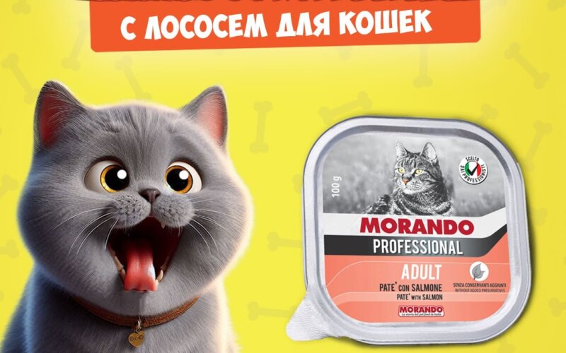 Morando Professional Adult Salmon (лосось), 100 гр