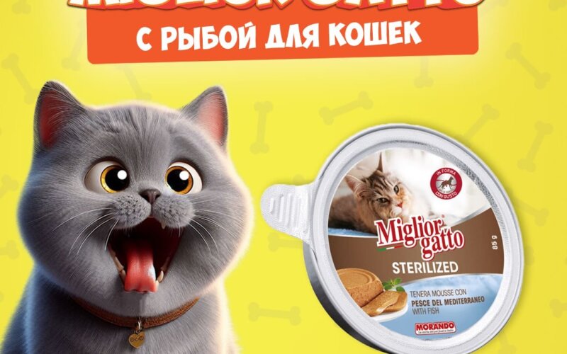 Miglior Gatto Steril Mediterranean Fish мусс (рыба), 85 гр