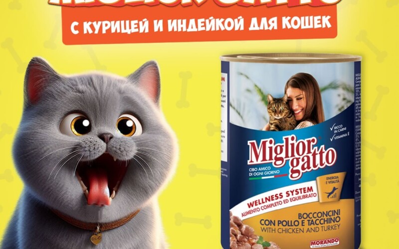 Miglior Gatto Chicken/Turkey (курица, индейка), 405 гр