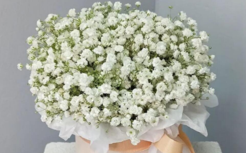 Белая гипсофила в шляпной коробке