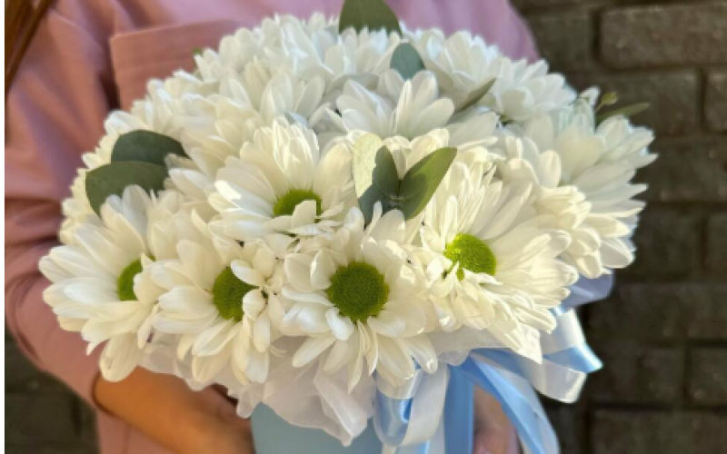 Коробка с кустовой хризантемой