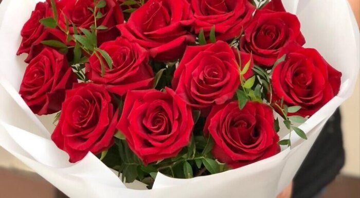 Салон цветов «Клевер»