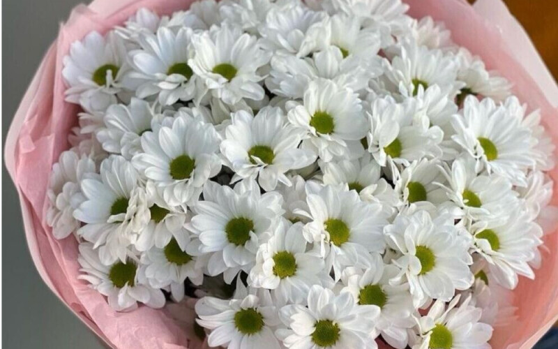 Букет из ромашковой хризантемы