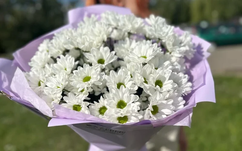 Букет ромашек «Белый танец»