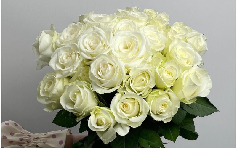 Роза белая 25 штук