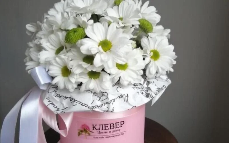 Цветы в коробке с ромашкой
