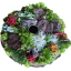 Мясной сет