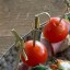 Канапе с ветчиной и маслинами