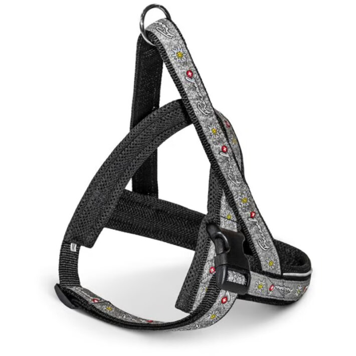 Шлея Basic Nordic mini SC размера 4