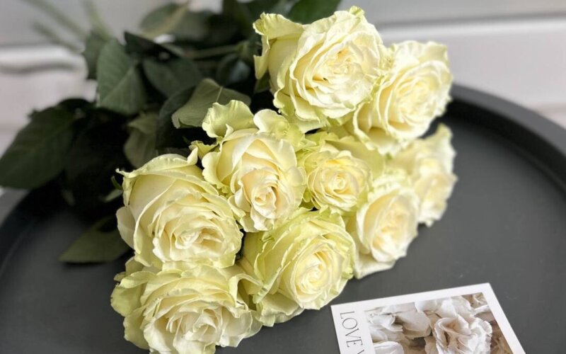 Роза «Мондиаль» белая 60 см 9 шт