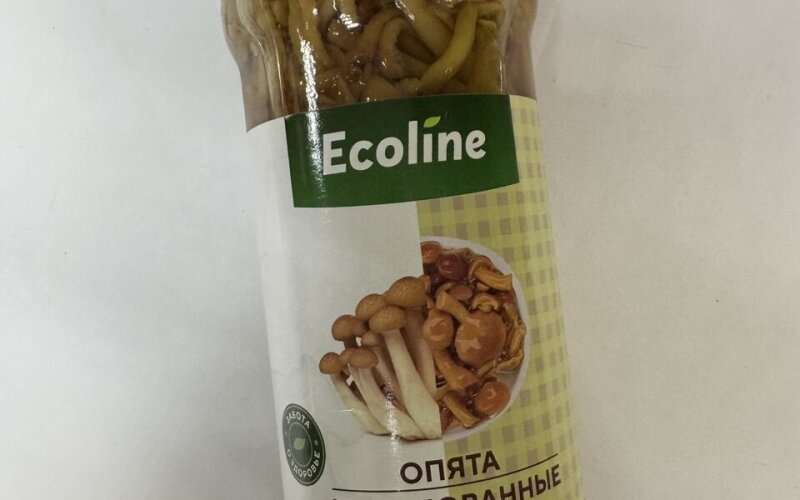 Маринованные опята «Ecoline»