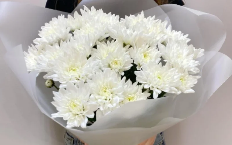 Букет из белых хризантем «Бланка»