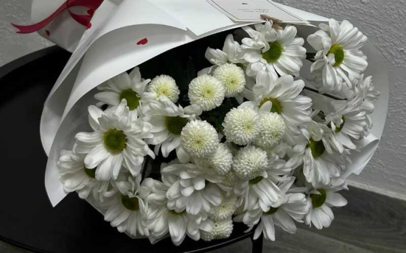 Ромашковое ассорти