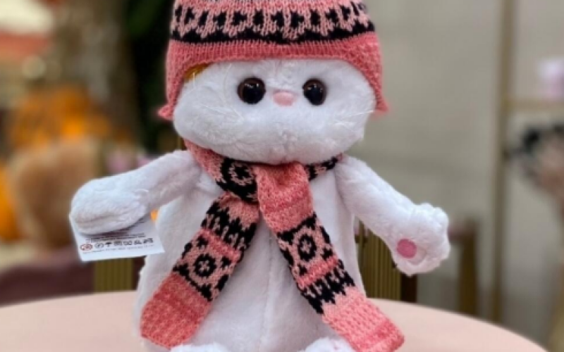 Котик в шапке