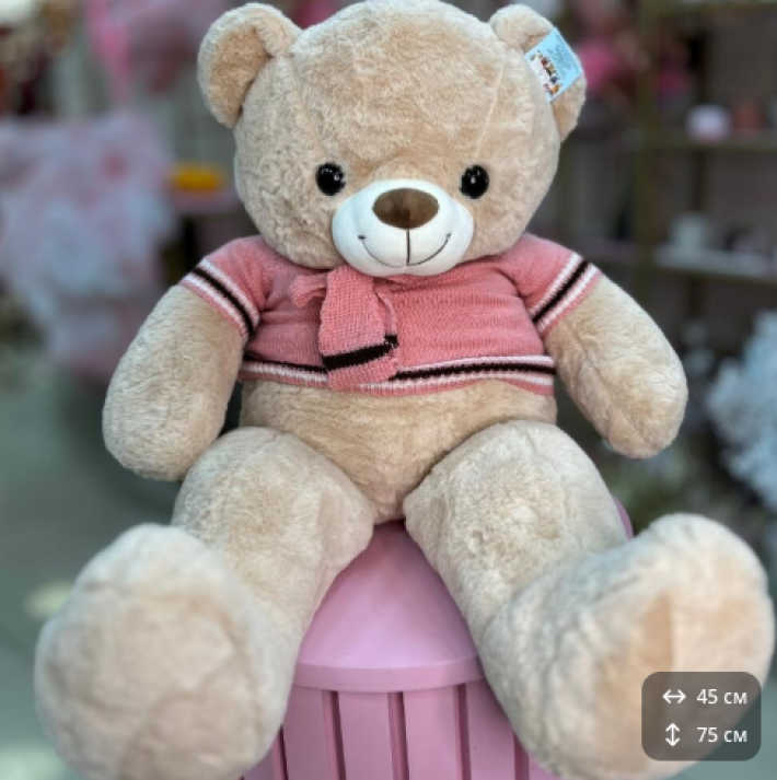 Мишка в кофточке