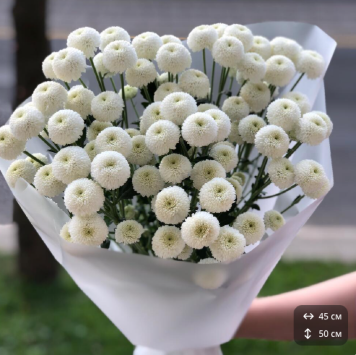 Стильный букет из 9 веток «Хризантемы Ньютон»