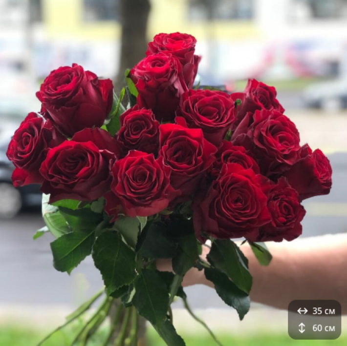 Букет из 15 красных роз