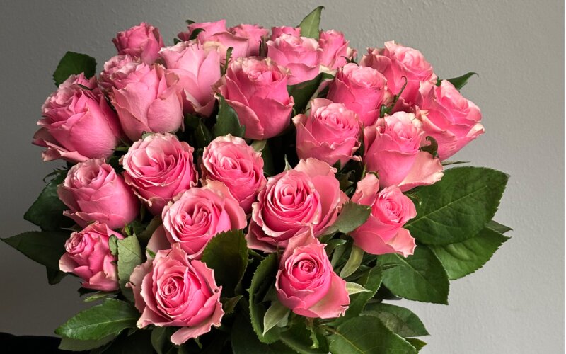 25 розовых роз